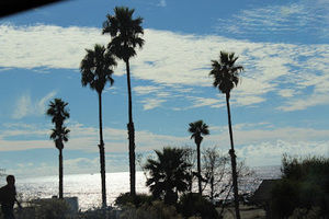 Meet your Posher, Kristy